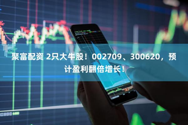 聚富配资 2只大牛股！002709、300620，预计盈利翻倍增长！
