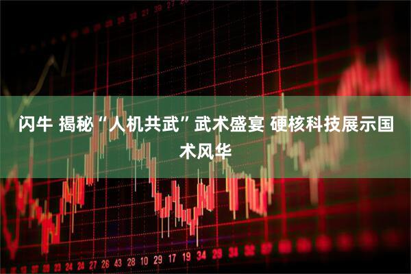 闪牛 揭秘“人机共武”武术盛宴 硬核科技展示国术风华