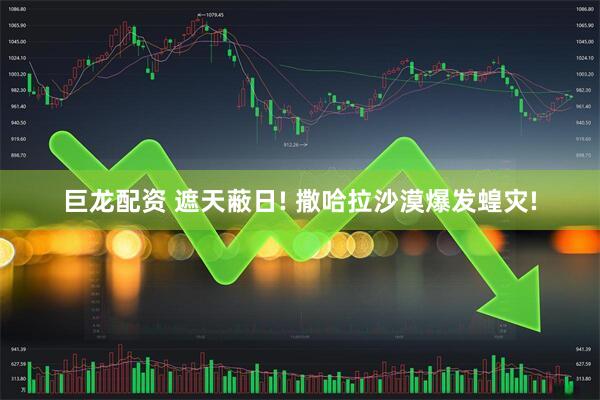 巨龙配资 遮天蔽日! 撒哈拉沙漠爆发蝗灾!